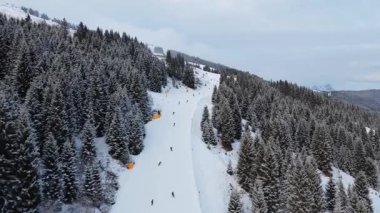 Kış tatillerinde dağlık bir yamaçta kayak yapan insanların hava manzarası görkemli dağlık orman manzaralarıyla çevrili..