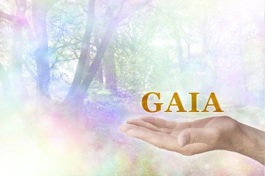 Gaia felsefe kucaklıyorum 