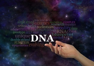 DNA'ın özellikleri 