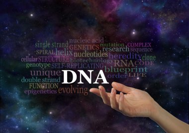 The Specifics of DNA  clipart