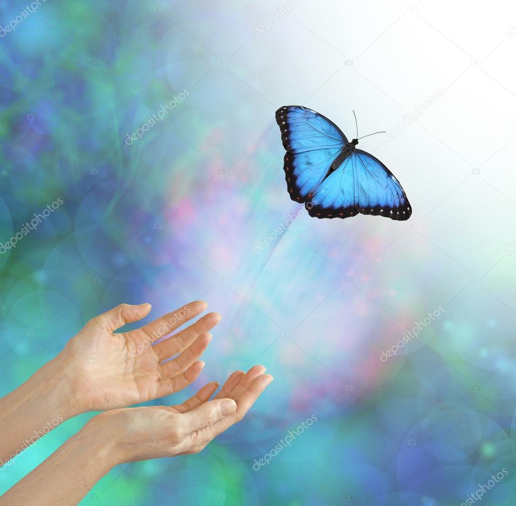 Healing63