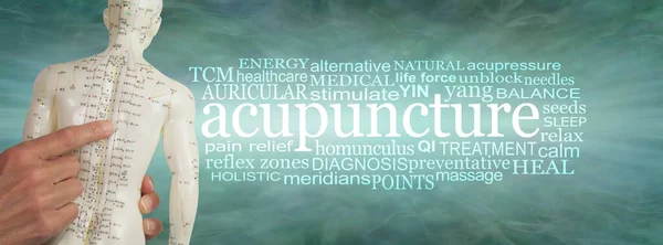 Woorden Geassocieerd Met Acupunctuur Word Cloud Banner Handen Met Een — Stockfoto