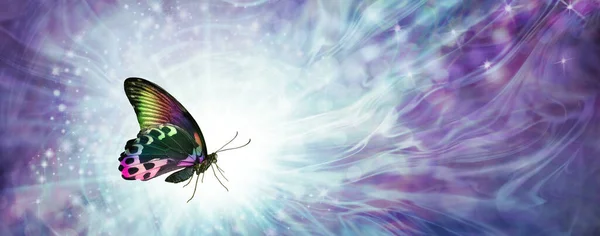 Різнокольоровий Метелик Повідомлення Фон Банер Красивий Барвистий Метелик Фоні Блідо — стокове фото