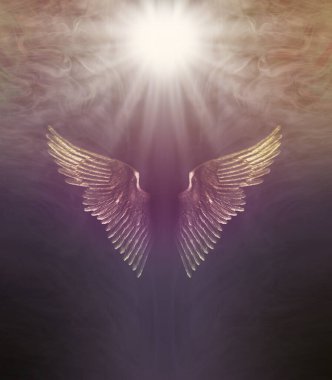 Divine Healing Light Angel Wings Arkaplan - parlak beyaz yıldız üzerinde patlaması altın magenta Angel Wings üzerinde derin kırmızı kahverengi arka plan fotokopi uzayı ile