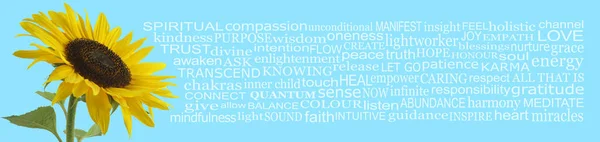 Girassol Palavras Para Contemplação Espiritual Fundo Azul Céu Largo Com — Fotografia de Stock