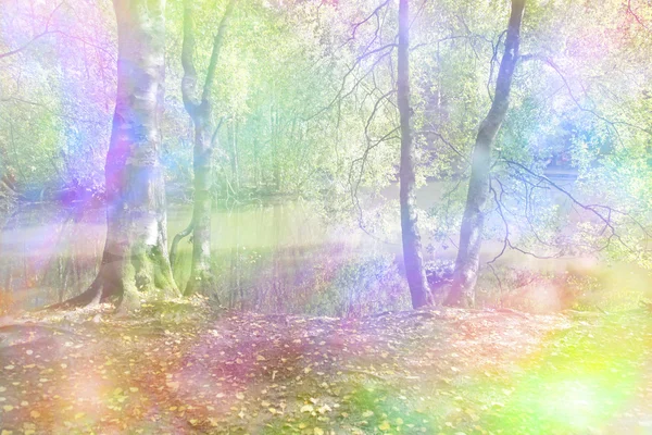 Fantasy Rainbow Woodland