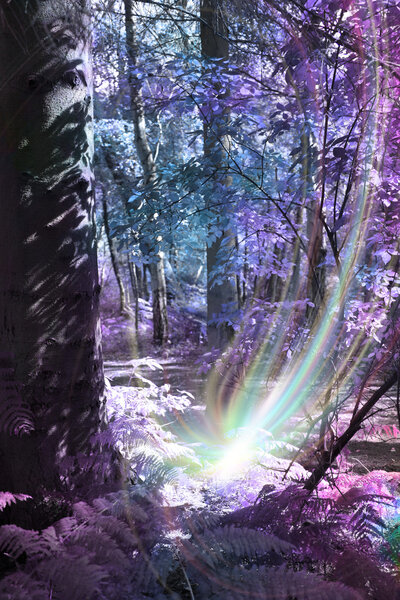 Отправка энергии дистанционного исцеления
