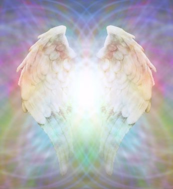 Angel Wings çok renkli matris web üzerinde