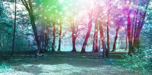 Jade blue colored woodland scene with rainbow sparkles depicting supernatural energy
