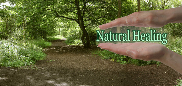 The Path To Natural Healing