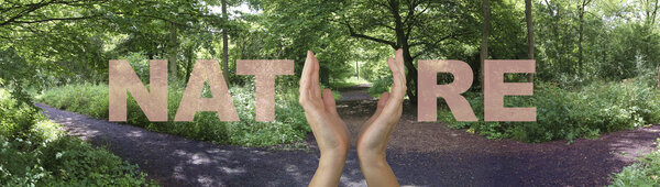 Follow Nature 's Path Header
