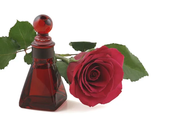 Aromatherapie ätherisches Öl der Rose — Stockfoto