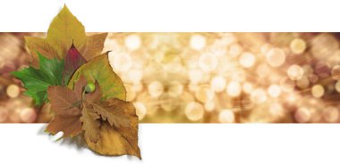 Sonbahar yaprak Bokeh Web sitesi Banner