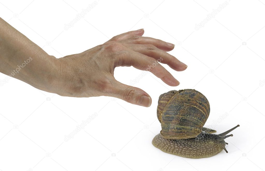 Snail Slime the latest and hottest skin care product — Stock Photo