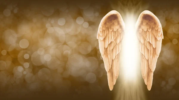 Golden Angel Wings på gyllene brun bokeh banner — Stockfoto