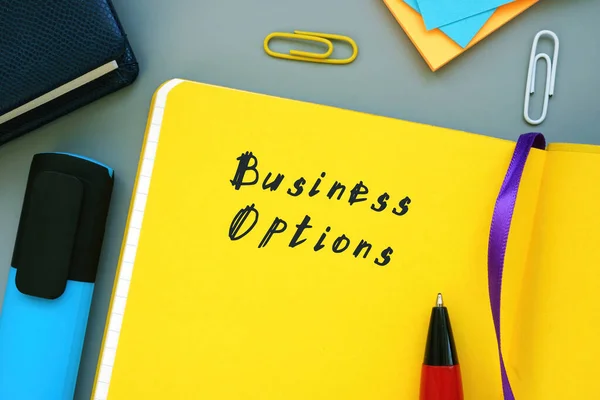 Business Concept Meaning Business Options Inscription Page — Stock Photo, Image