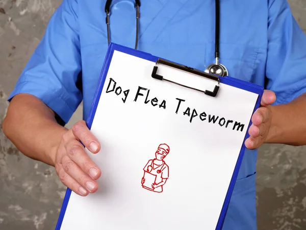 Υγειονομική Περίθαλψη Έννοια Για Dog Flea Tapeworm Επιγραφή Στο Φύλλο — Φωτογραφία Αρχείου