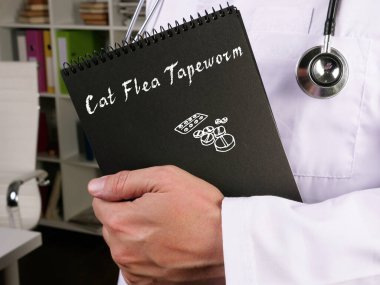 Cat Flea Tapeworm 'ın tıbbi konsepti.