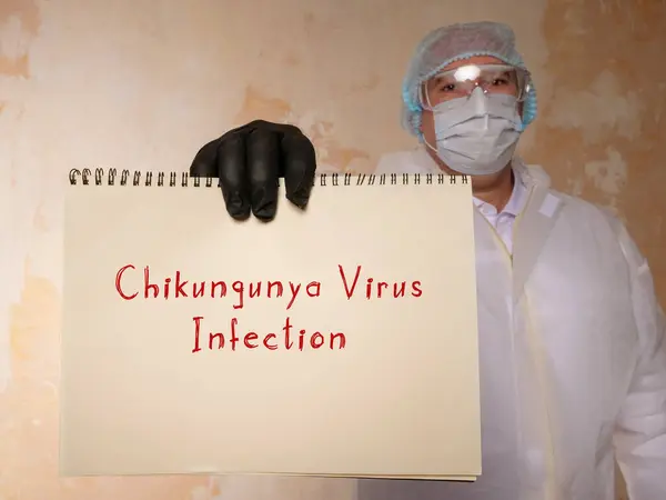 Чикунгунья Вірус Інфекція Аркуші Паперу — стокове фото