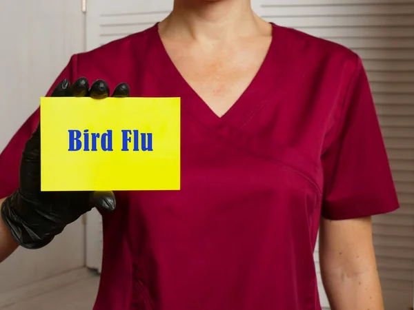 Медична Концепція Пташиного Грипу Avian Influenza Написом Сторінці — стокове фото