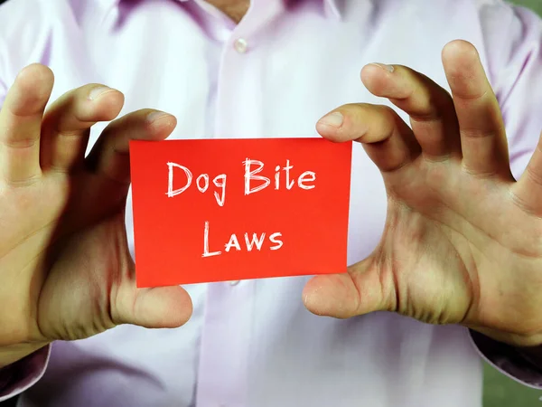 Foto Conceitual Sobre Dog Bite Laws Com Frase Manuscrita — Fotografia de Stock