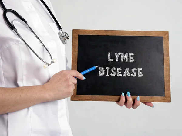 石板上印有Lyme Disease的医学概念 — 图库照片