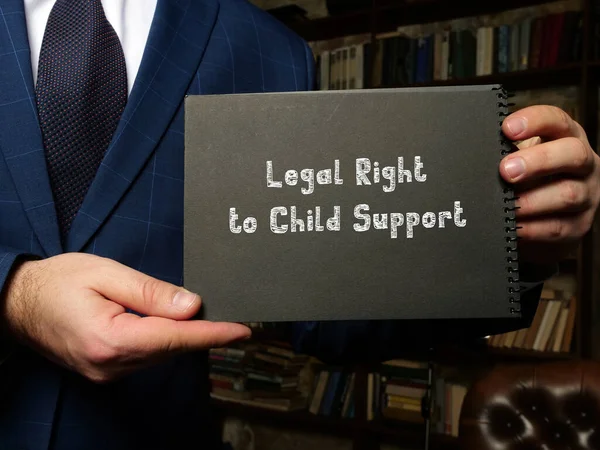 児童扶養の法的権利に関する法的概念 — ストック写真