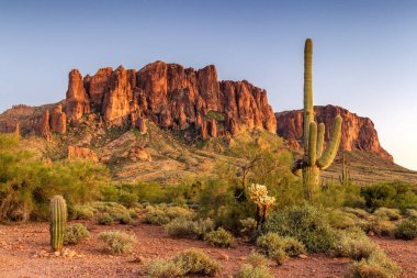 Arizona çölünde gün batımı bir dağ ve kaktüsü aydınlatıyor.