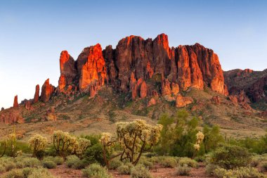 Arizona çölünde gün batımı bir dağ ve kaktüsü aydınlatıyor.