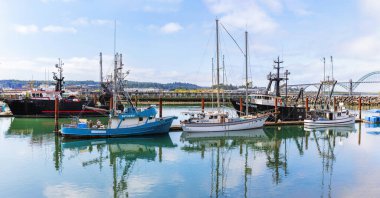 Limandaki ticari balıkçı tekneleri.