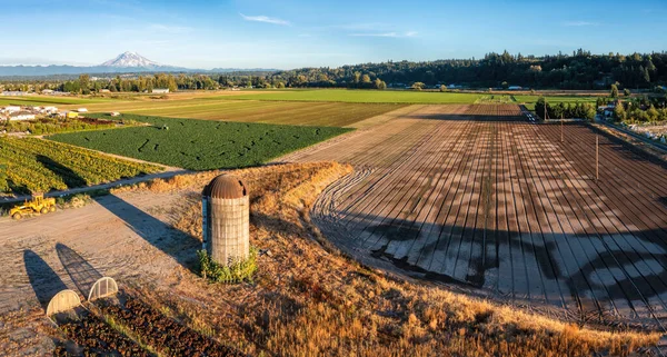 Drönare Utsikt Över Gård Nordvästra Stilla Havet Med Regnvatten Stockbild