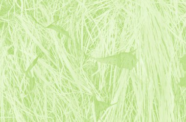 Tasarım için kopyalama alanı olan soyut açık yeşil arkaplan.