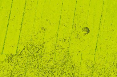 Tasarım için soyut kireç ve yeşil arkaplan.