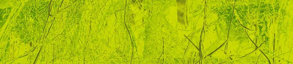 Abstrato Cal Cores Verdes Fundo Para Design — Fotografia de Stock