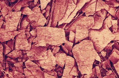 soyut menekşe ve burgundy renk arkaplanı.