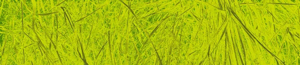 Fond Abstrait Citron Vert Couleurs Pour Design — Photo