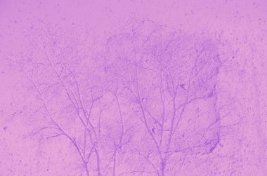 Tasarım için soyut menekşe, pembe ve mor arkaplan.