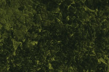 Tasarım için soyut siyah ve koyu yeşil arkaplan.