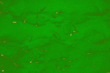 Tasarım için soyut parlak yeşil ve sarı arkaplan.