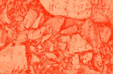 Tasarım için soyut canlı mercan rengi arkaplanı.