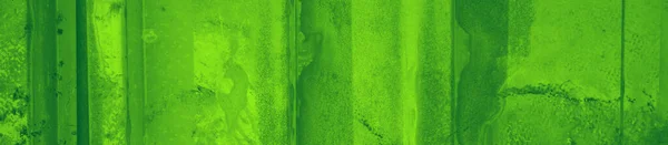 abstract green bright color background for design.