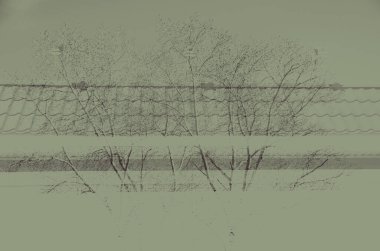 Tasarım için soyut koyu mor ve gri-yeşil arkaplan.