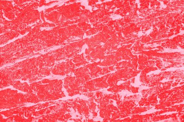 Tasarım için soyut kırmızı, pembe ve mercan renkleri.