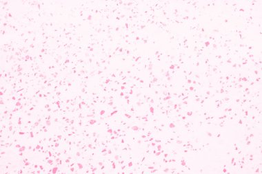 Tasarım için soyut açık pembe ve beyaz arkaplan.