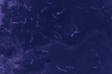 Tasarım için soyut siyah ve mor arkaplan.