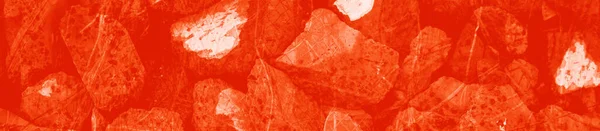 Abstract Red Orange Colors Background Design — Stock Photo, Image