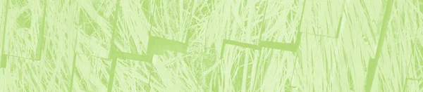 Abstrakter Hellgrüner Hintergrund Mit Kopierraum Für Design — Stockfoto
