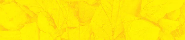 Abstract Yellow Bright Background Design — Stock Photo, Image