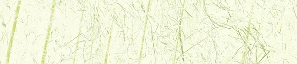 Abstract Light Coloured Beige Green Colors Background Design — Stock Photo, Image