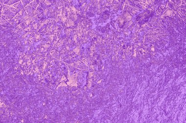 soyut menekşe; dizayn için pembe ve mor arkaplan.